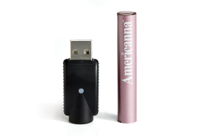 PinkBatteryChargesmall Americanna battery pink color