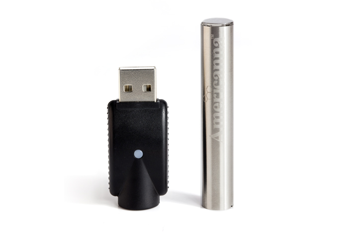 SilverBatteryChargesmallrev2 Americanna battery silver color