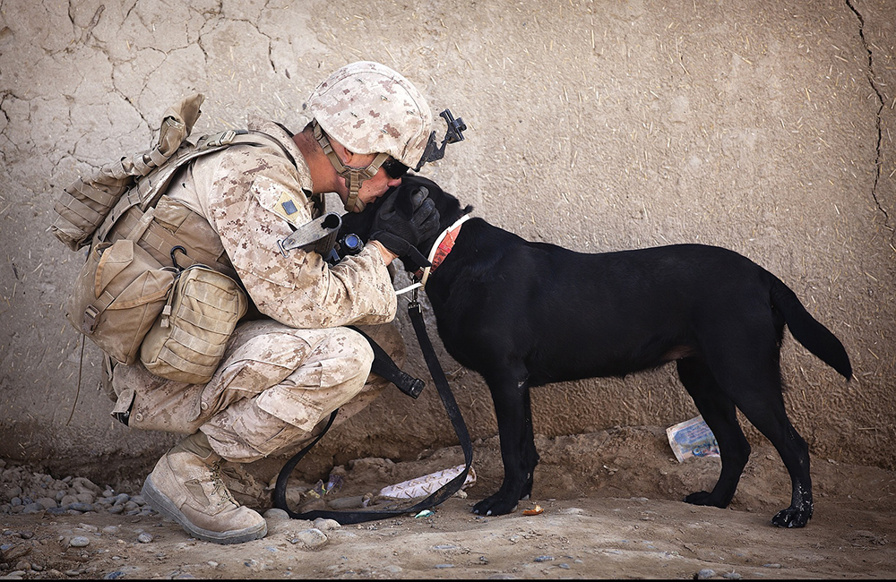 Americanna blog - Veterans suffer from PTSD far too often.