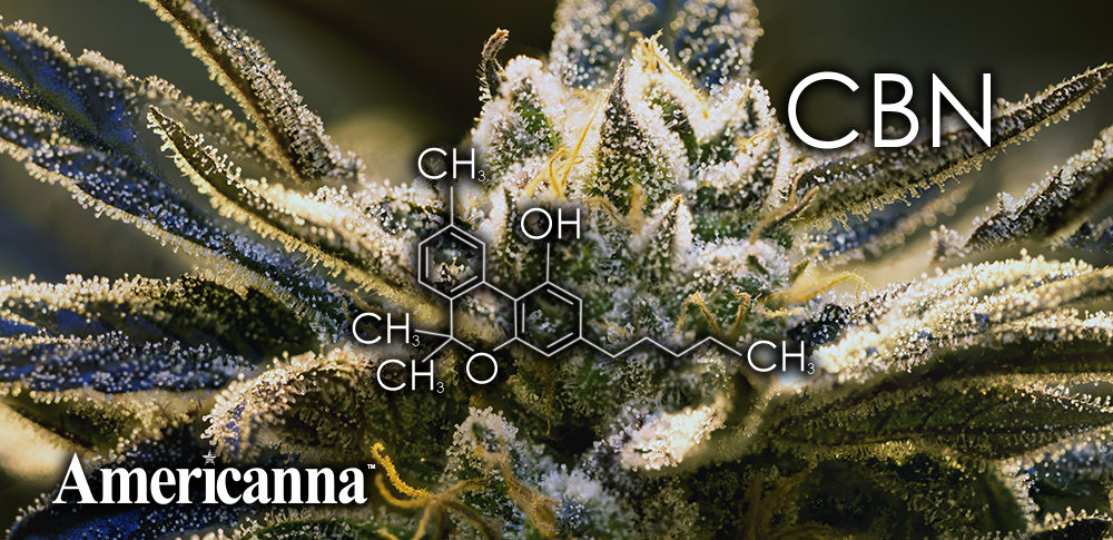 cannabinoids list - americanna - americanna blogs