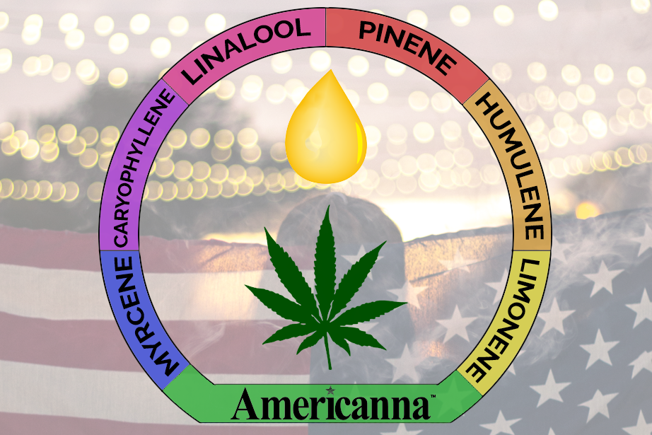 Americanna - cannabis terpenes - Americanna blogs